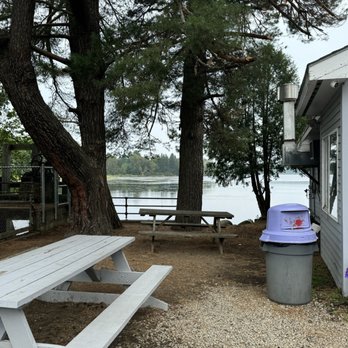 Pine Tree Frosty - Ice Cream & Frozen Yogurt Near Me - Rangeley, Maine