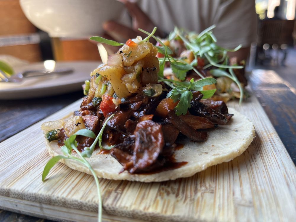 Hive Oakland - social services organization in Oakland, CA