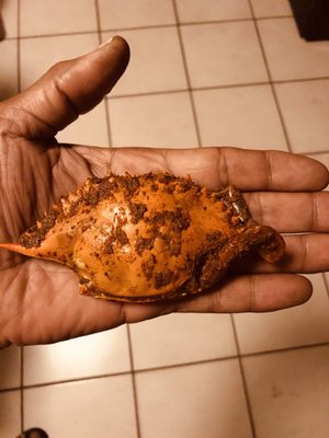 Pete's Fish Market by null