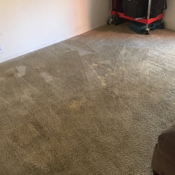Eco Carpet Clean - After my clean all the dark stains are gone - Carpet Cleaning Near Me - Panorama City, California Eco Carpet Clean - After my clean all the dark stains are gone - Carpet Cleaning Near Me - Panorama City, California
