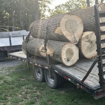 Blue Mountain Tree Company - Tree Services Near Me - Pine Grove, Pennsylvania
