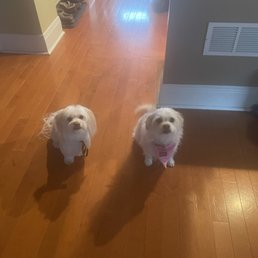 All clean!
