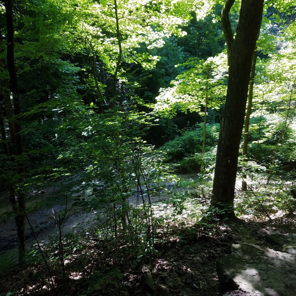 Starved Rock State Park - Parks Near Me - Utica, Illinois
