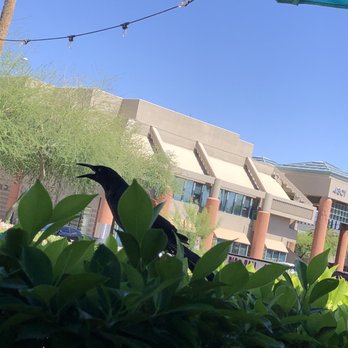 Diego Pops - The bad guy - Cocktail Bars Near Me - Scottsdale, Arizona