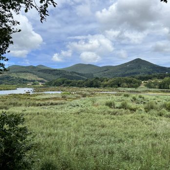 Urdaibai Bird Center - Community Service/Non-Profit Near Me - Zelaieta, BI