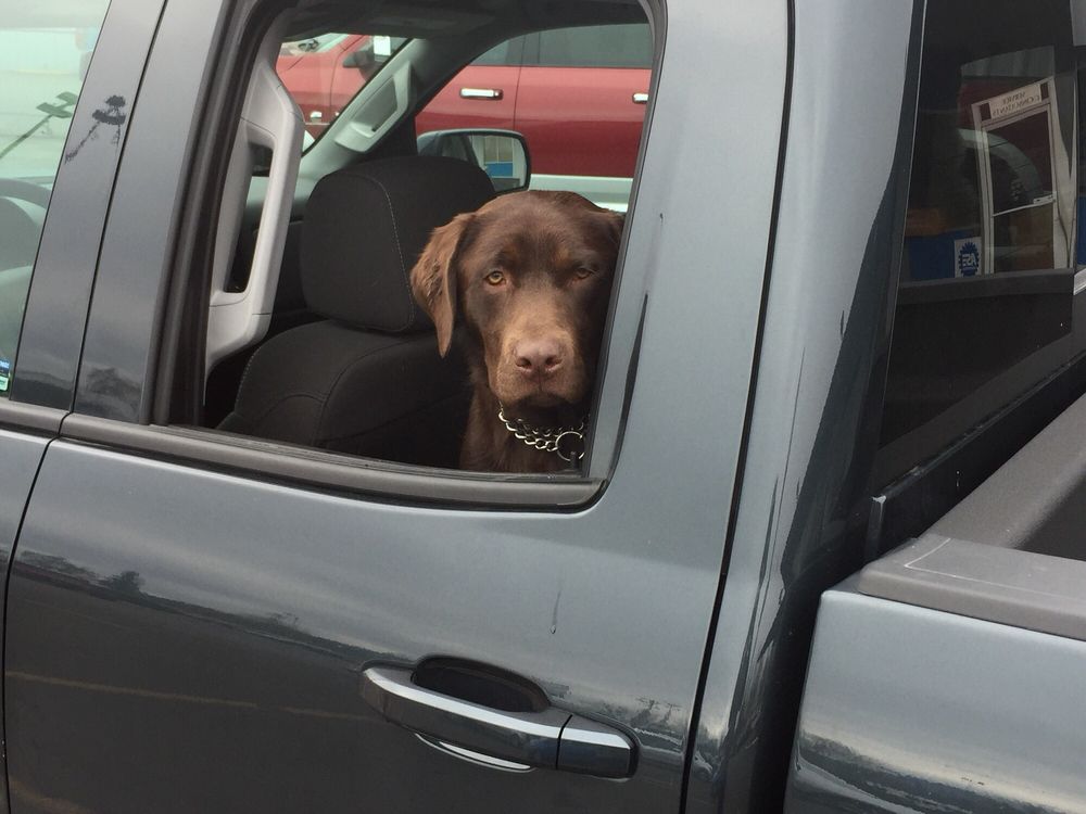 COTTAGE GROVE CHEVROLET GMC Updated September 2024 37 Reviews