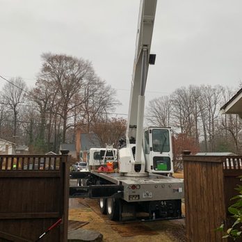 JL Tree Service - Tree Services Near Me - Fairfax, Virginia
