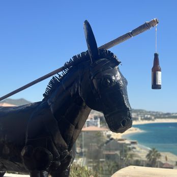 Baja Brewing Rooftop - Cute motivation! - Sports Bars Near Me - Cabo San Lucas, BCS Baja Brewing Rooftop - Cute motivation! - Sports Bars Near Me - Cabo San Lucas, BCS