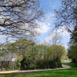 Parc de la Guérinais - Le parc de la Guérinais en printemps 2019