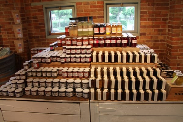 Yering Station Winery by null