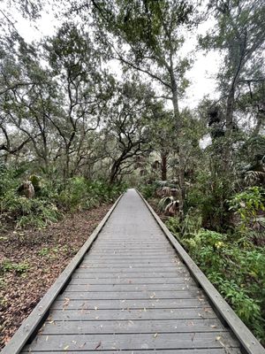 Boca Ciega Millennium Park by null