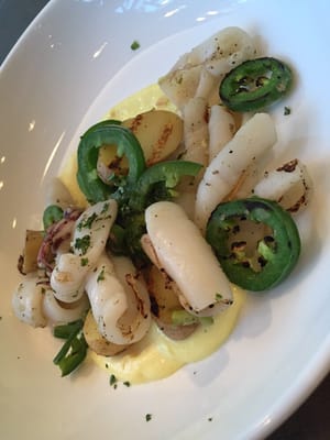 Current Fish and Oyster by null