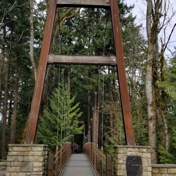 Bellevue Botanical Garden - Suspension bridge - Botanical Gardens Near Me - Bellevue, Washington