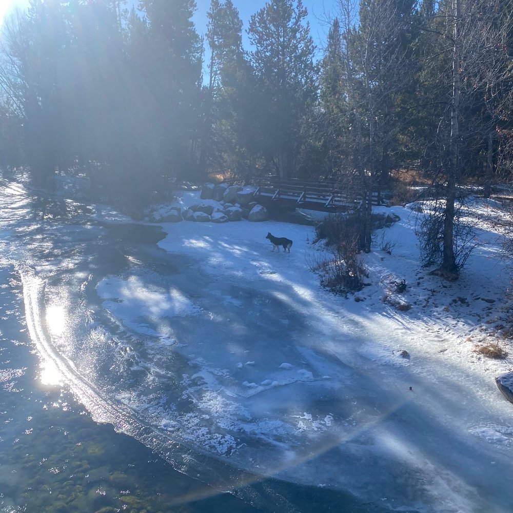boyd skinner park - View from bridge - Parks Near Me
