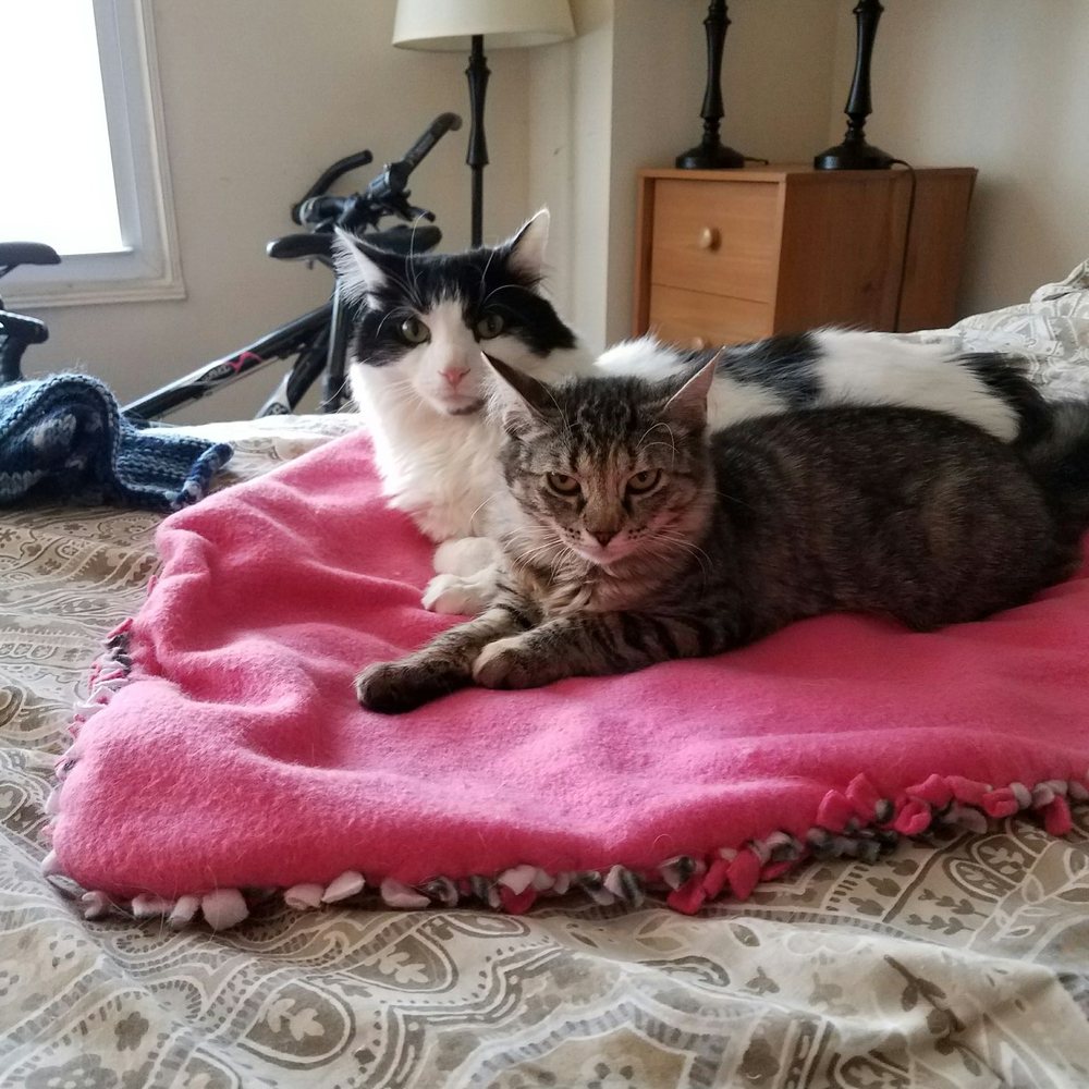 Max&Scarlet Max&Scarlet