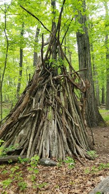 Cranberry Lake Preserve by null