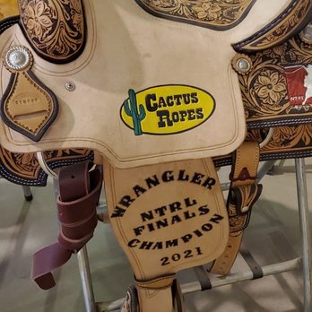 Jacksonville Equestrian Center - Winners reward - Stadiums & Arenas Near Me - Jacksonville, Florida Jacksonville Equestrian Center - Winners reward - Stadiums & Arenas Near Me - Jacksonville, Florida