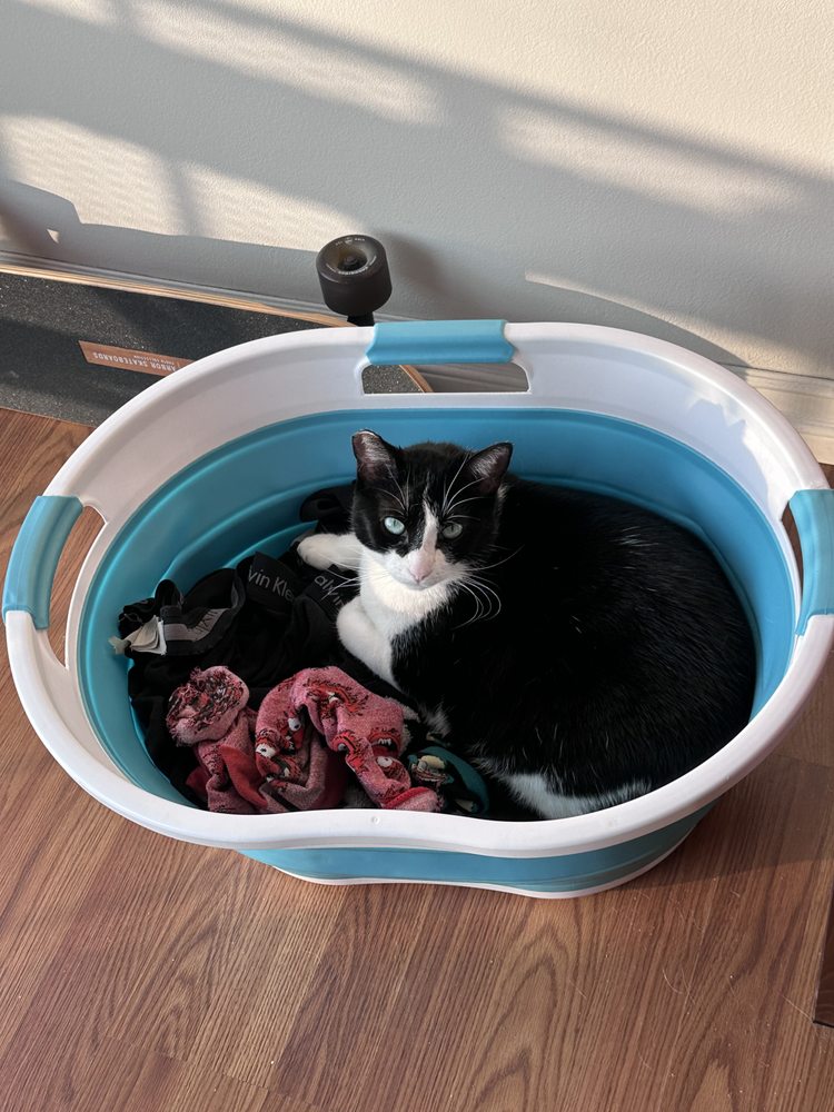Rawhide & Catnip - pet boarding facility in Los Angeles, CA