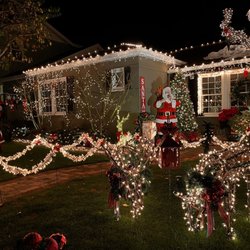 Christmas Tree Lane