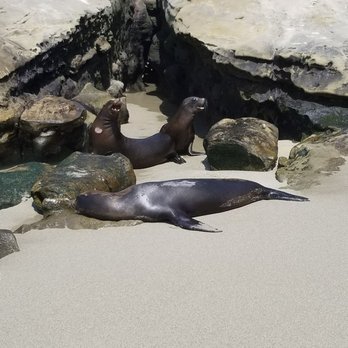 La Jolla Cove - Parks Near Me - La Jolla, California La Jolla Cove - Parks Near Me - La Jolla, California