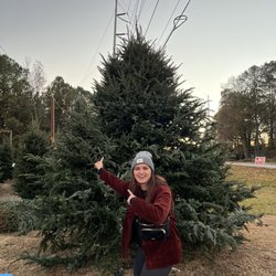 Tradition Trees