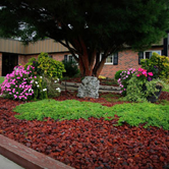 Monroe Family Dentistry - General Dentistry Near Me - Dearborn, Michigan Monroe Family Dentistry - General Dentistry Near Me - Dearborn, Michigan