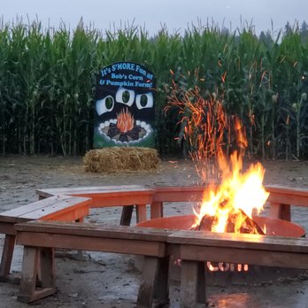 Bob's Corn & Pumpkin Farm - Pumpkin Patches Near Me - Snohomish, Washington