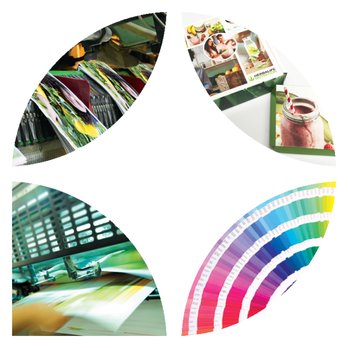 Precision Litho - Communications Enabled - Printing Services Near Me - Vista, California Precision Litho - Communications Enabled - Printing Services Near Me - Vista, California