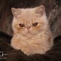 Photo of TheGreatPhotoGuy.com