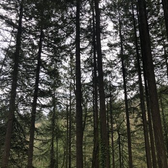 Forest Park - Parks Near Me - Portland, Oregon
