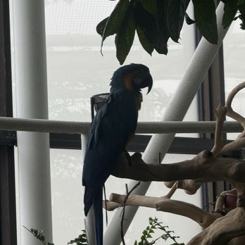 National Aquarium - Aquariums Near Me - Baltimore, Maryland