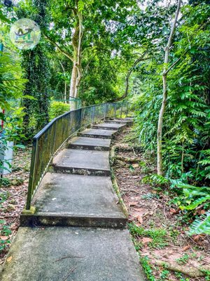 Henderson Waves by null