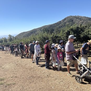 Rileys At Los Rios Rancho - Long lines from hell.  This place sucks now. - Fruits & Veggies Near Me - Oak Glen, California