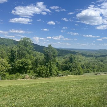 Chester Gap Cellars - Wineries Near Me - Front Royal, Virginia
