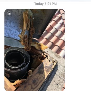 Aliza's Bee Removal - 5 foot honeycomb/hive extracted from our chimney - Pest Control Near Me - Poway, California
