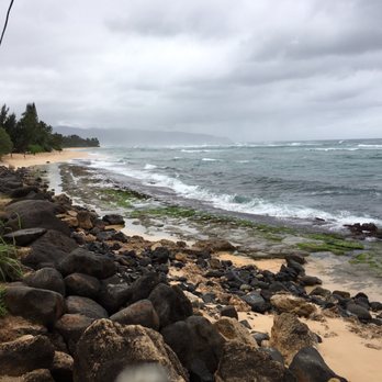 Laniakea Beach - Beaches Near Me - Haleiwa, Hawaii Laniakea Beach - Beaches Near Me - Haleiwa, Hawaii