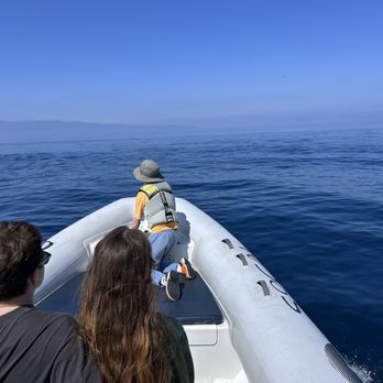 SoCal Whale Watching - Whale Watching Tours Near Me - Long Beach, California