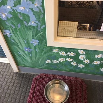 Bone Appetit Bakery - Water bowl outside the shop - Pet Stores Near Me - Nashville, Indiana Bone Appetit Bakery - Water bowl outside the shop - Pet Stores Near Me - Nashville, Indiana