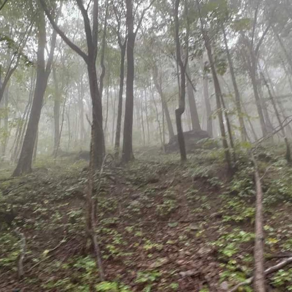 Crazy Mountain Cycles - ATV Rentals/Tours Near Me - Bluefield, West Virginia