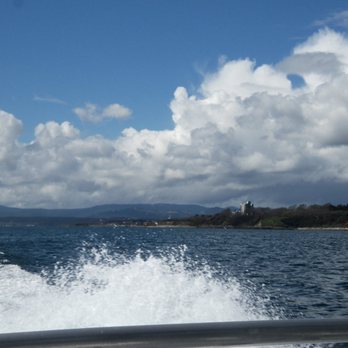 Eagle Wing Tours - Boat Charters Near Me - Victoria, British Columbia