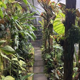 Walkthrough terrarium