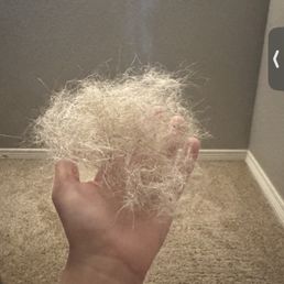 Hair from one set of stairs. Hair from one set of stairs.