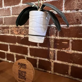 Ngon Vietnamese Kitchen - Vietnamese Near Me - Dallas, Texas Ngon Vietnamese Kitchen - Vietnamese Near Me - Dallas, Texas