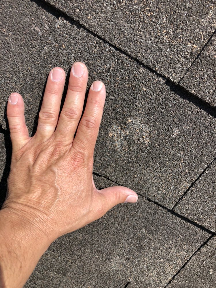 Slide of Alpha 1 Restorations