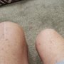 Photo of Staats Physical Therapy