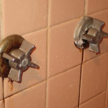 Camelot Inn - Shower knobs - Hotels Near Me - Williamsburg, Michigan