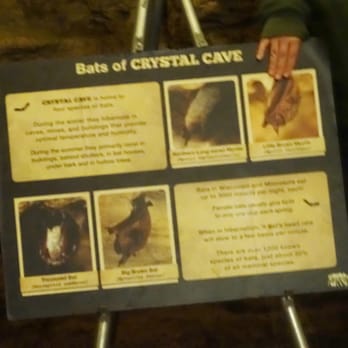 Crystal Cave - Amusement Parks Near Me - Spring Valley, Wisconsin Crystal Cave - Amusement Parks Near Me - Spring Valley, Wisconsin