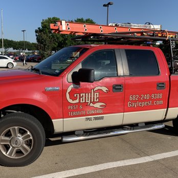 Gayle Pest & Termite - Pest Control Near Me Gayle Pest & Termite - Pest Control Near Me