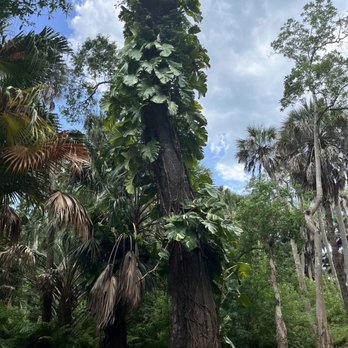 Abercrombie Park - Parks Near Me - St. Petersburg, Florida