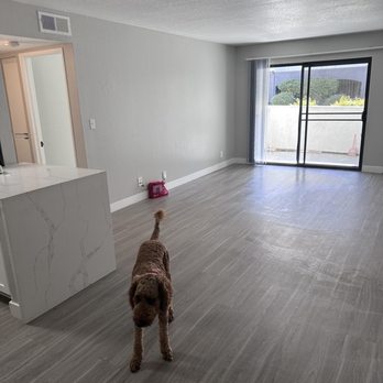 Polished to Perfection - Home Cleaning Near Me - Chula Vista, California Polished to Perfection - Home Cleaning Near Me - Chula Vista, California